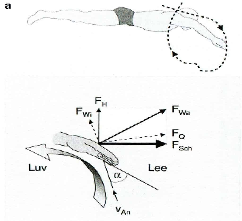 Querkraft 1 Abb.: Strömungskraftkomponenten des Abwärtsskulls (Reischle, 2000, Abb.6, S.35, genehmigt vom Diesterweg-Verlag am 15.03.2007.)
FWA = Wasserkraftresultierende
FQ = Querkraft
FW = Widerstand
FH = Hub
FSch = Schub