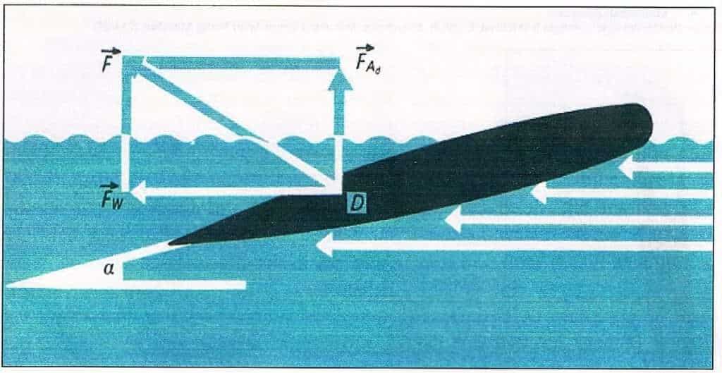 Schwimmlexikon-Auftrieb