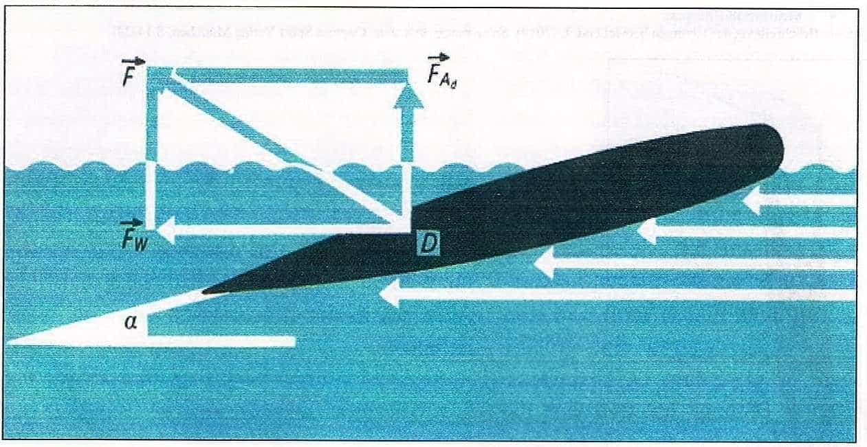 Auftrieb, dynamischer | SCHWIMMLEXIKON | Das Lexikon des Schwimmsports