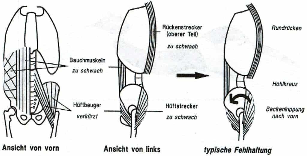 Schwimmlexikon-Beckenhaltung