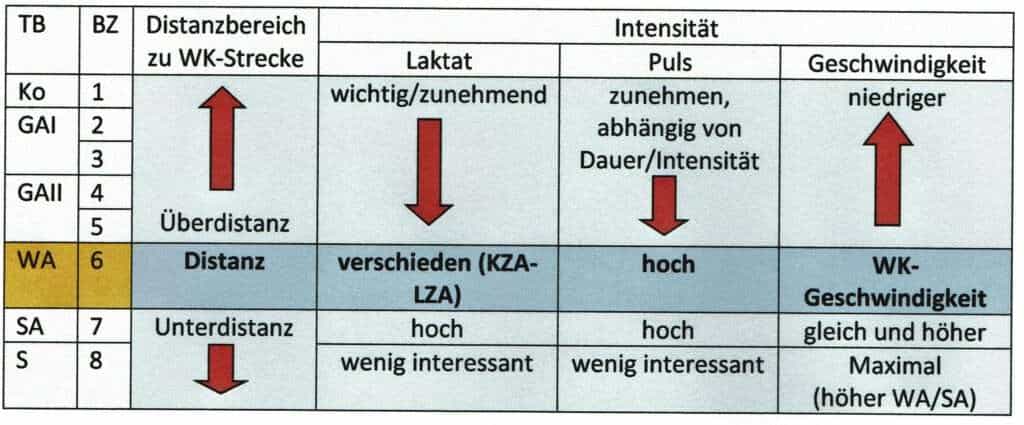 Schwimmlexikon-Belastungszonen 1