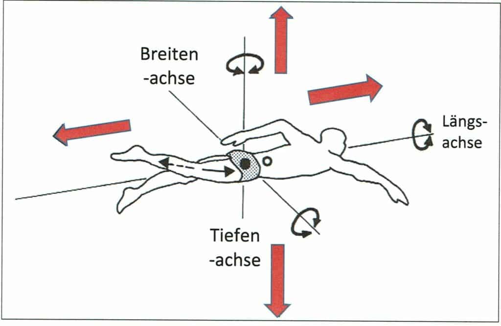 Schwimmlexikon-Bewegungsrichtungen Schwimmen