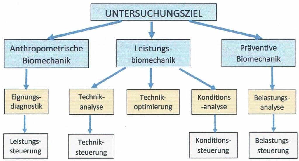 Schwimmlexikon-Biomechanik