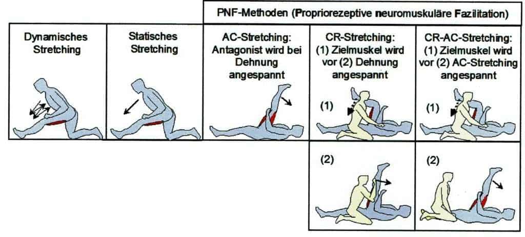 Dehnübungen