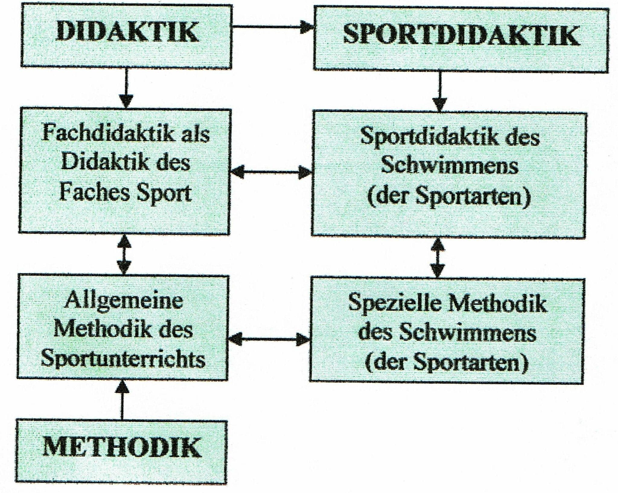 Schwimmlexikon-Didaktik