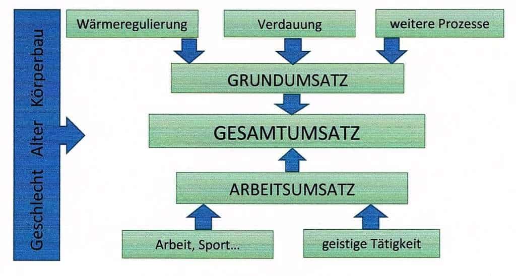 Abb.: Die Energiebilanz beeinflussende Faktoren (nach http://www.bodytrainer.tv/de/blog/71-10+M%F6glichkeiten,+den+Stoffwechsel+zu+erh%F6hen)