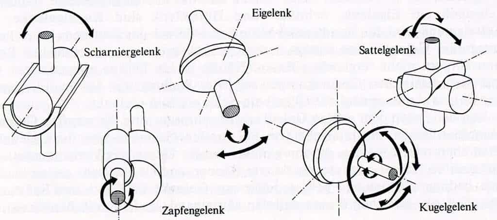 Abb.: Freiheitsgrade verschiedener Gelenktypen (Sommer, 1994, S.49) (freigegeben durch Weltbild-Verlag am 27.03.2007)