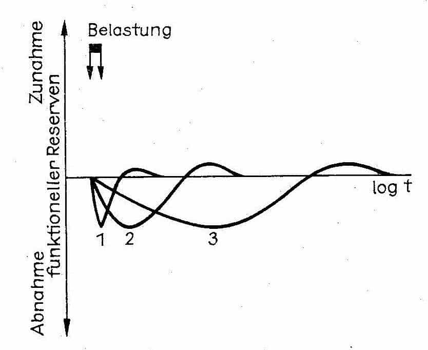 Schwimmlexikon-Heterochronität