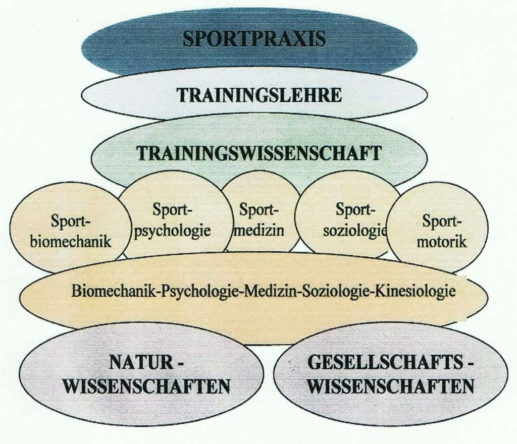 Schwimmlexikon-Interdisziplinarität