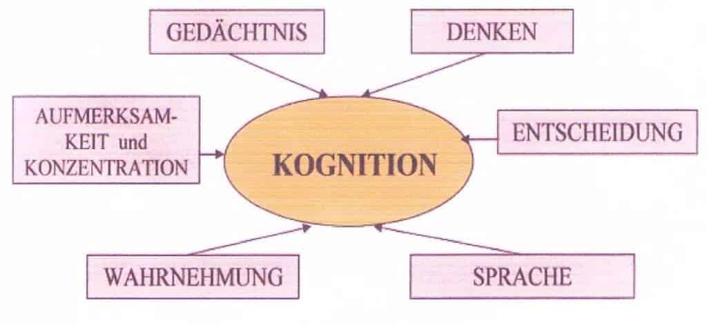 Schwimmlexikon-Kognition