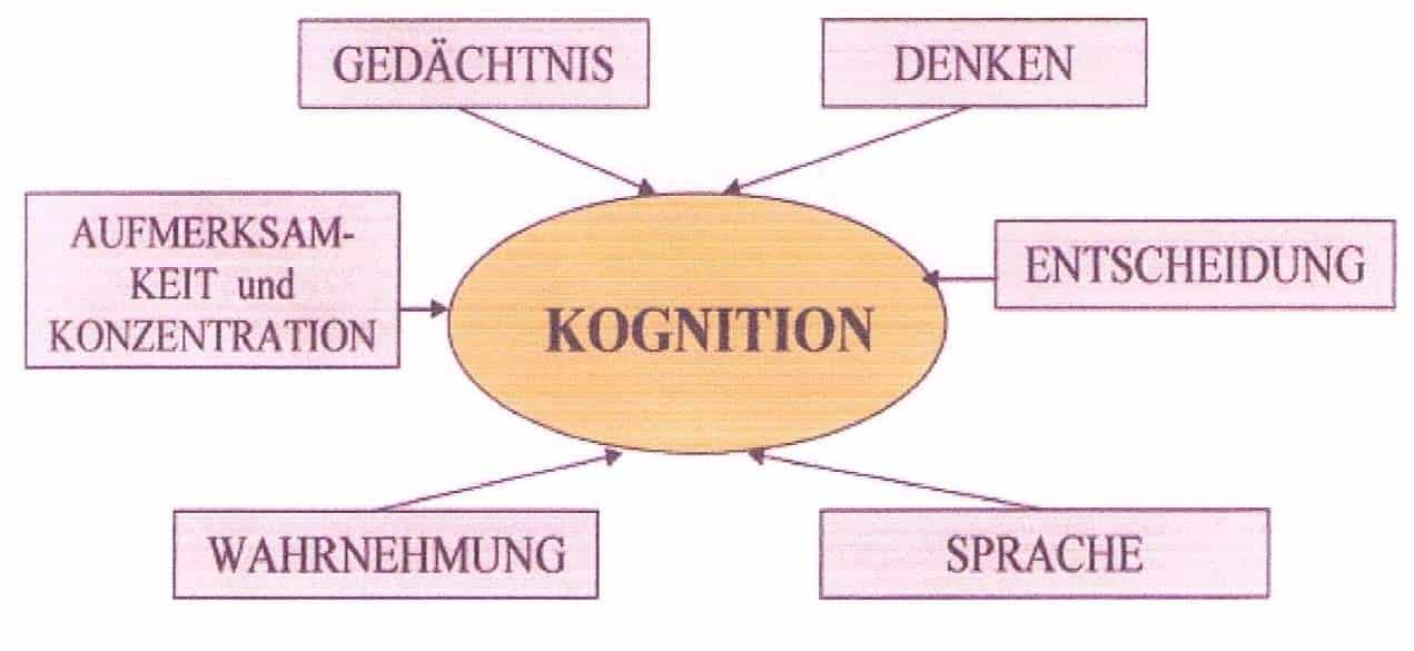 KOGNITION WIKIPEDIA visual data 5
