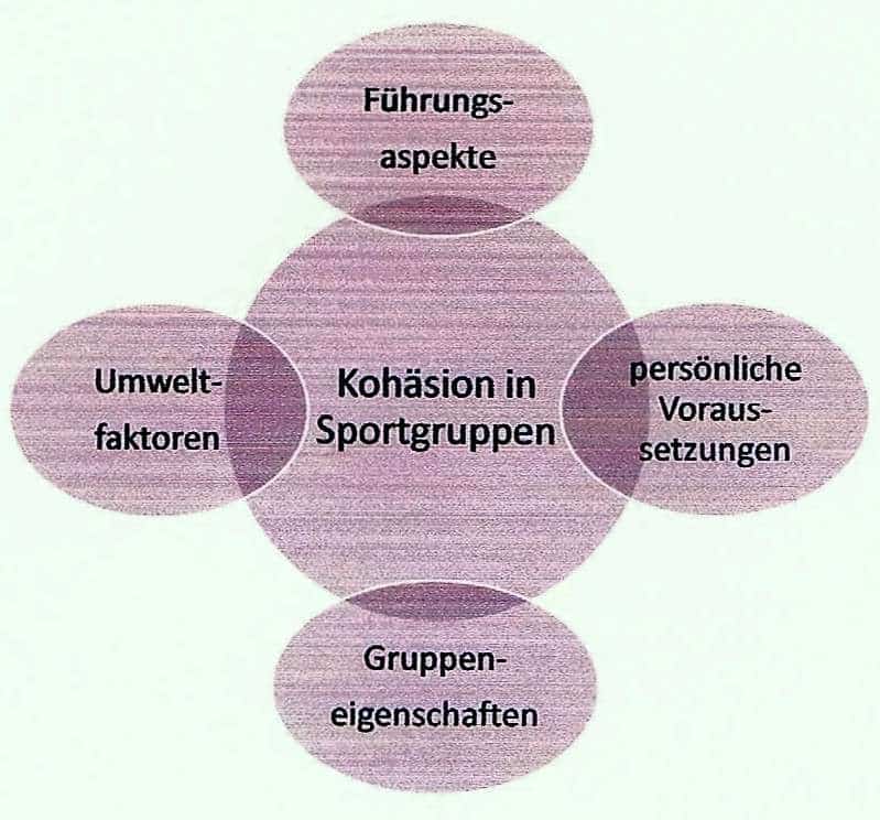 Schwimmlexikon-Kohäsion