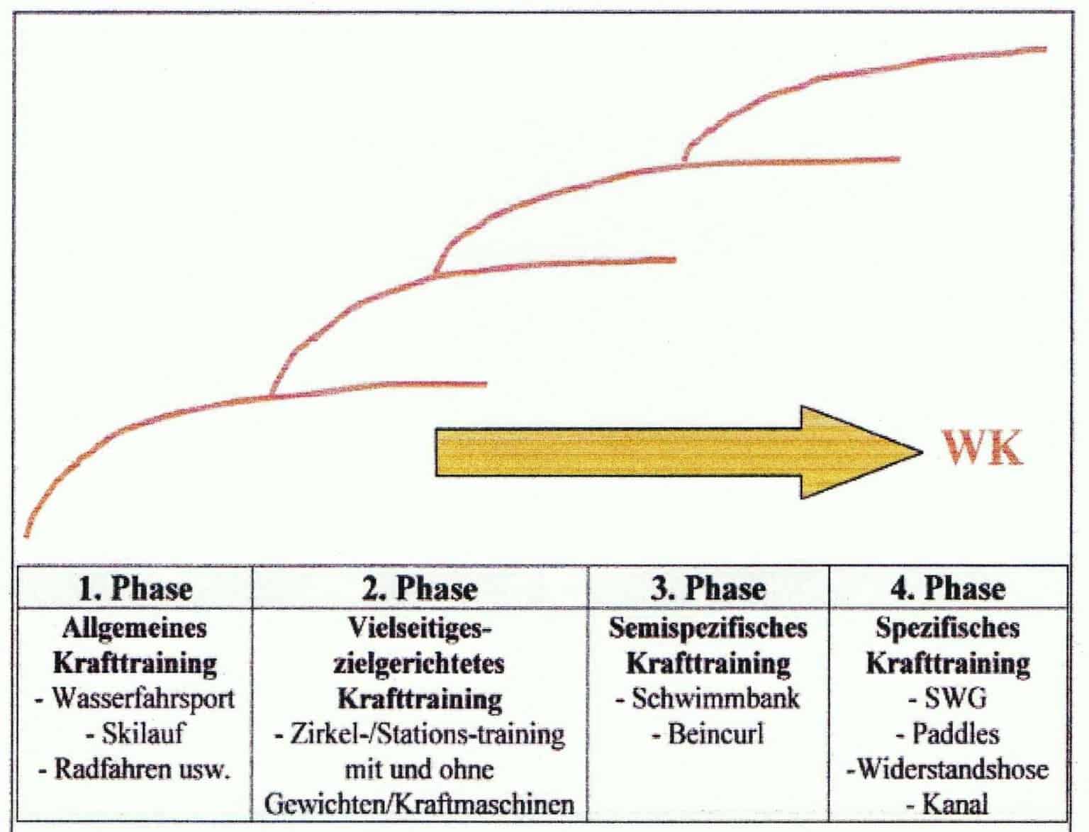 Krafttraining | SCHWIMMLEXIKON | Das Lexikon Des Schwimmsports