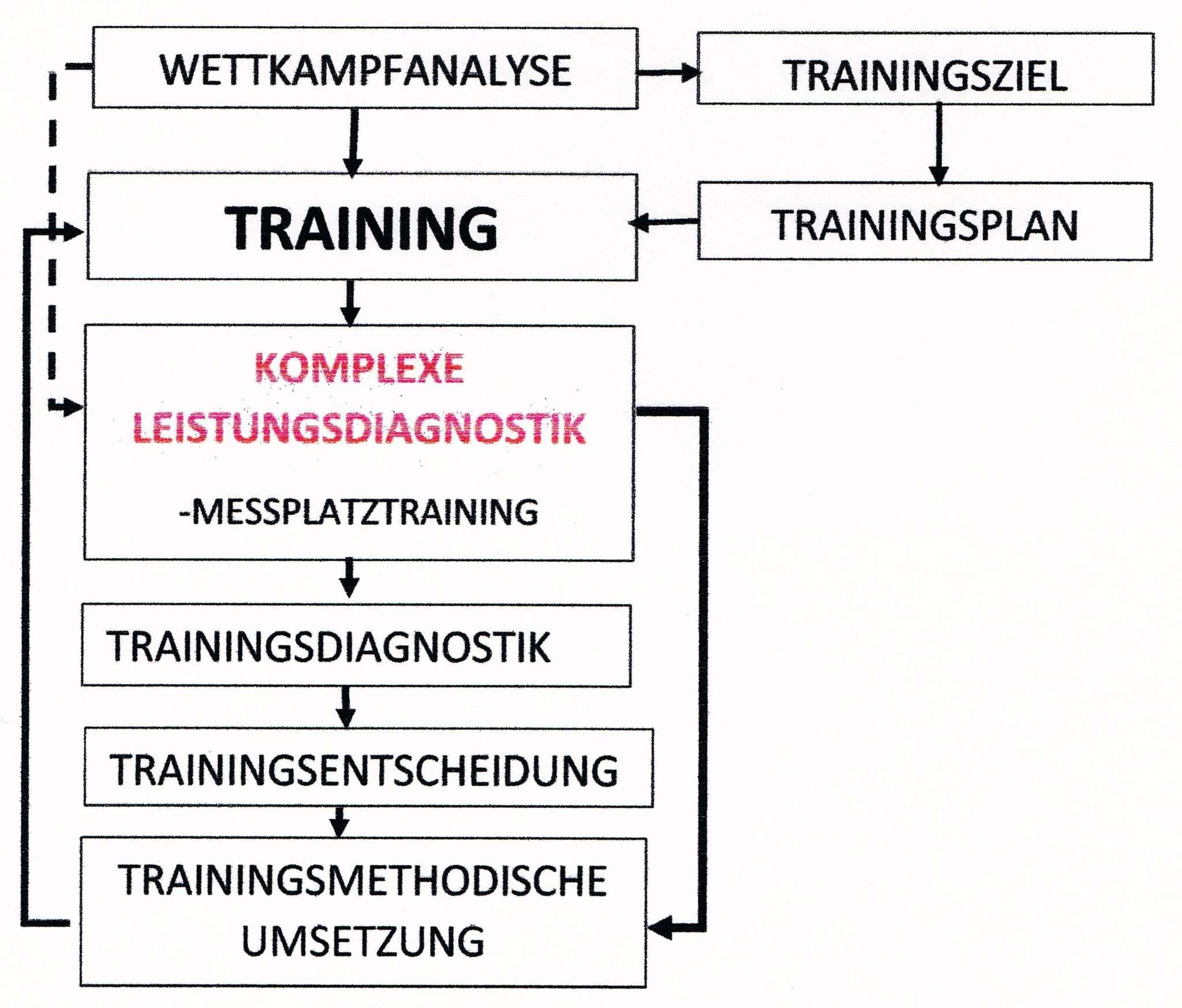 Leistungsdiagnostik | SCHWIMMLEXIKON | Das Lexikon Des Schwimmsports