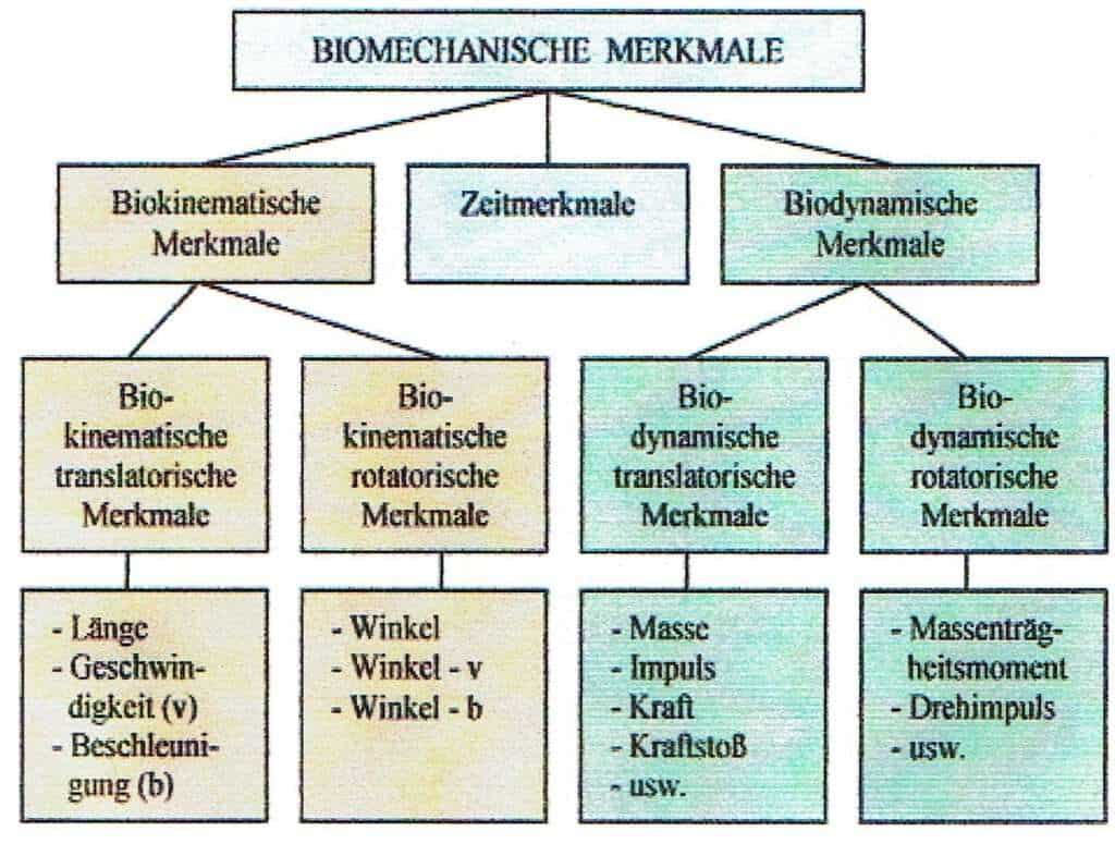 Schwimmlexikon-Merkmale biomechanische