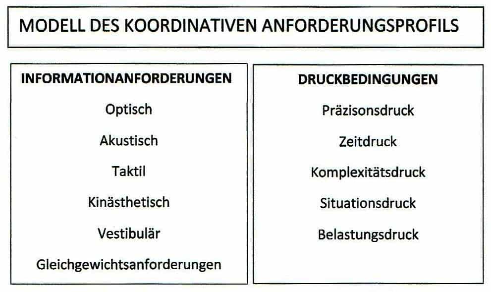 Schwimmlexikon-Modell koordiantives Anforderungsprofil