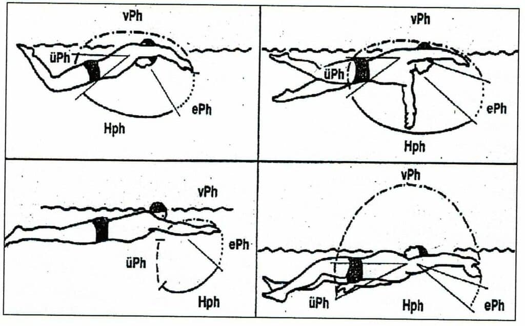 Schwimmlexikon-Phaseneinetilung Schwimmen