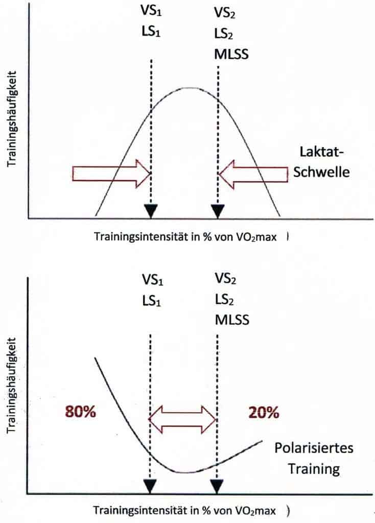 Schwimmlexikon-Polarisiertes Training