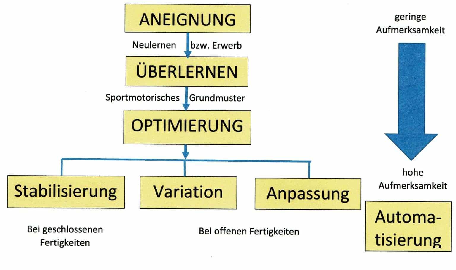 Stabilisierung | SCHWIMMLEXIKON | Das Lexikon Des Schwimmsports