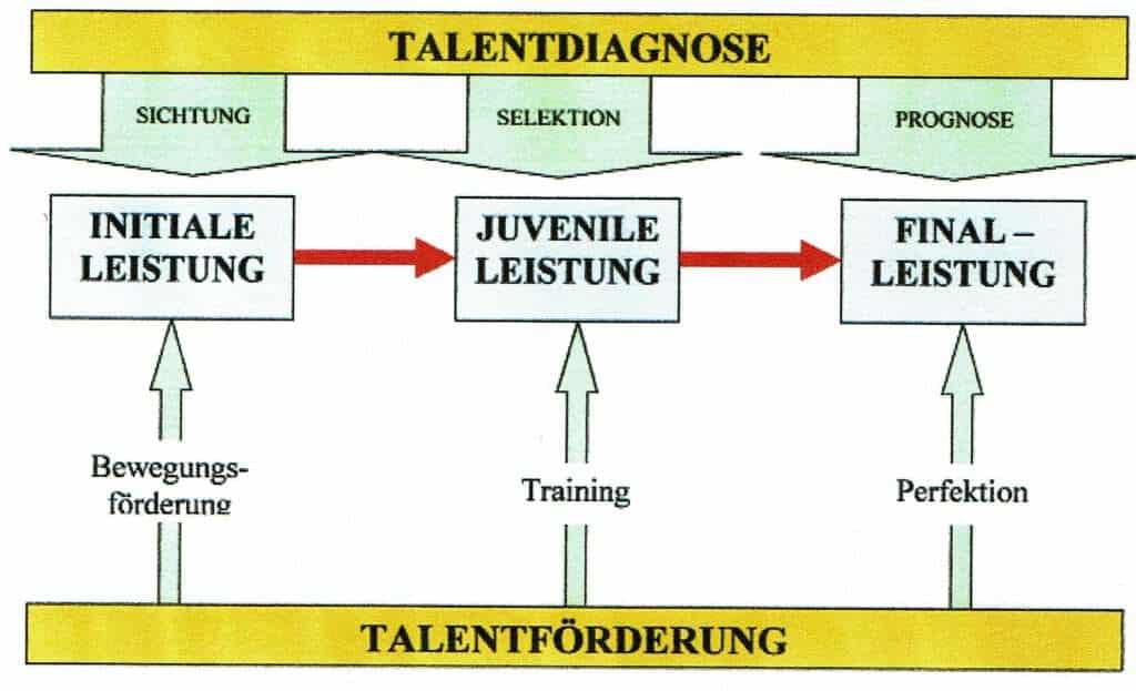 Schwimmlexikon-Talentprognose