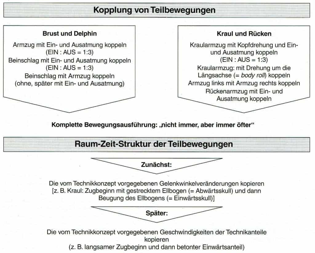 Schwimmlexikon-Teilbewegungen koppeln