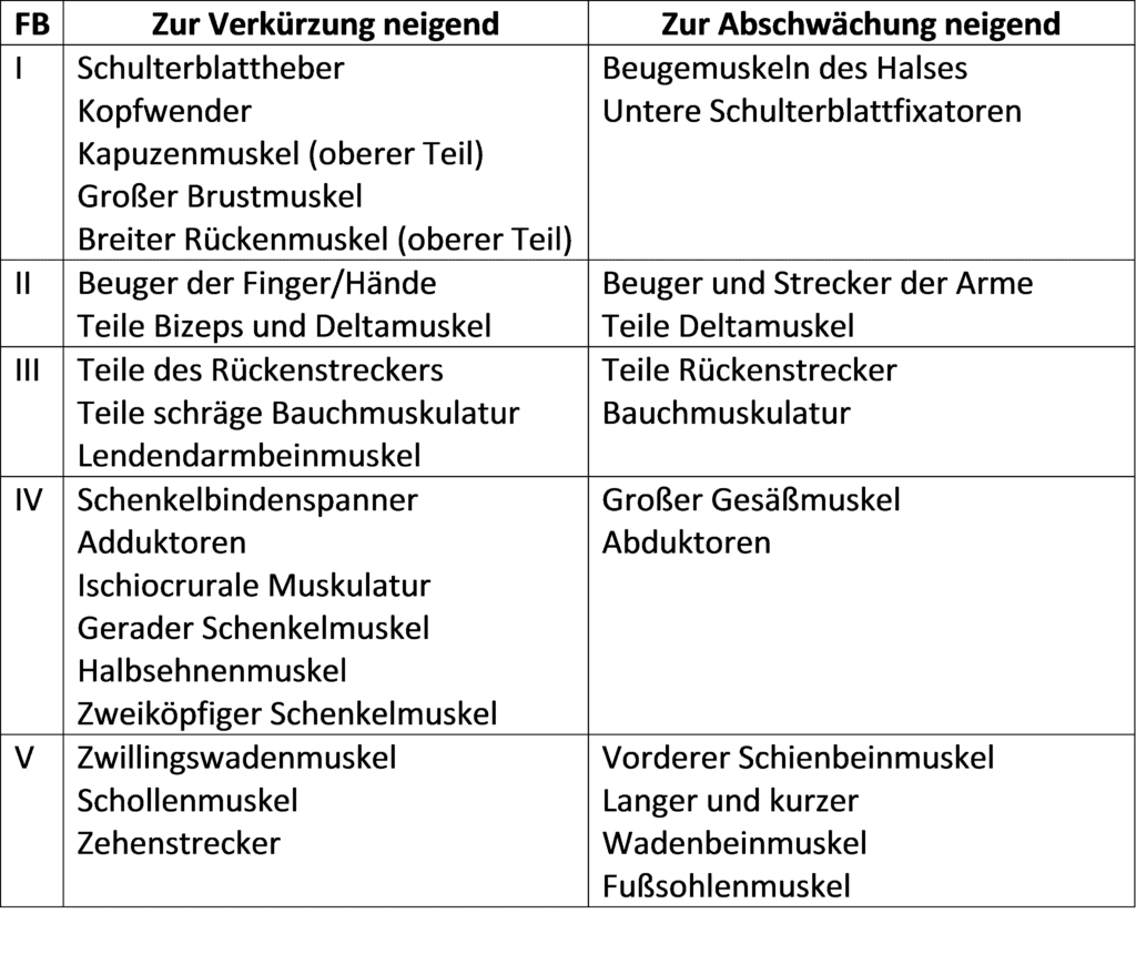 Schwimmlexikon-Funktionskreis Tabelle