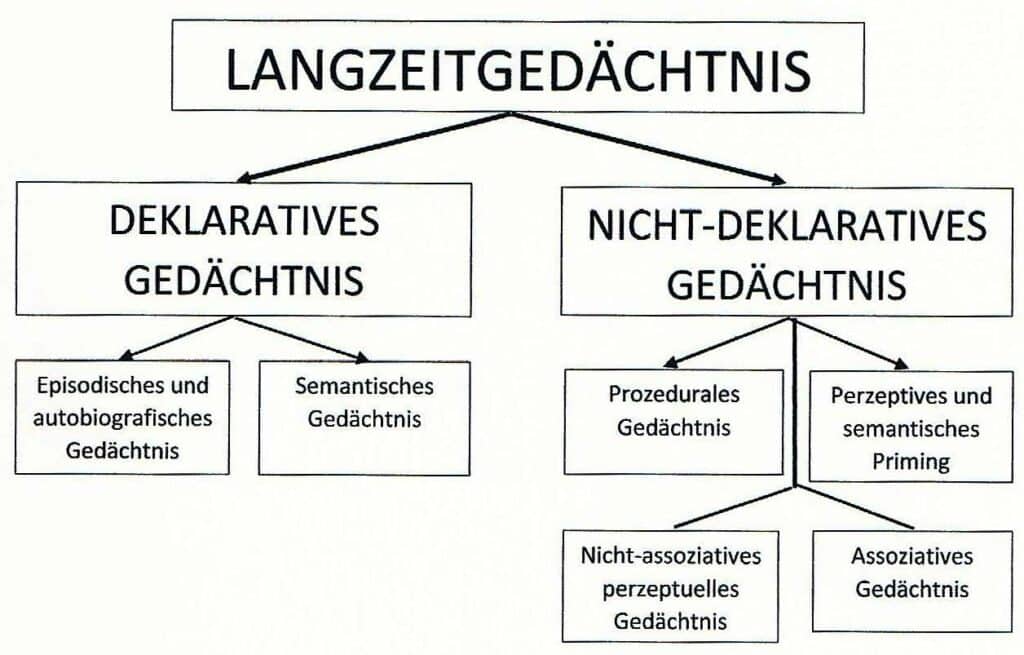 Schwimmlexikon-Gedächtnis