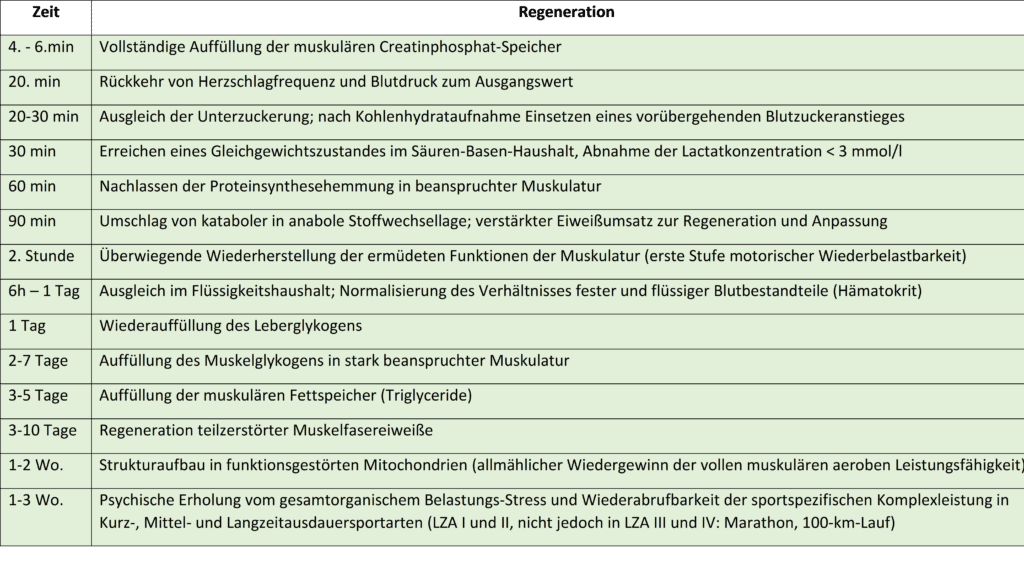 Schwimmlexikon-Regenerationszeit