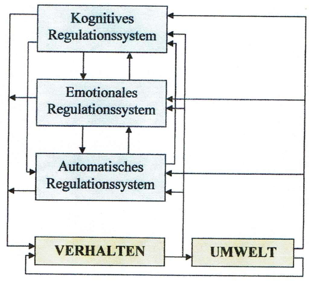 Schwimmlexikon-Regulationssystem kognitives 2