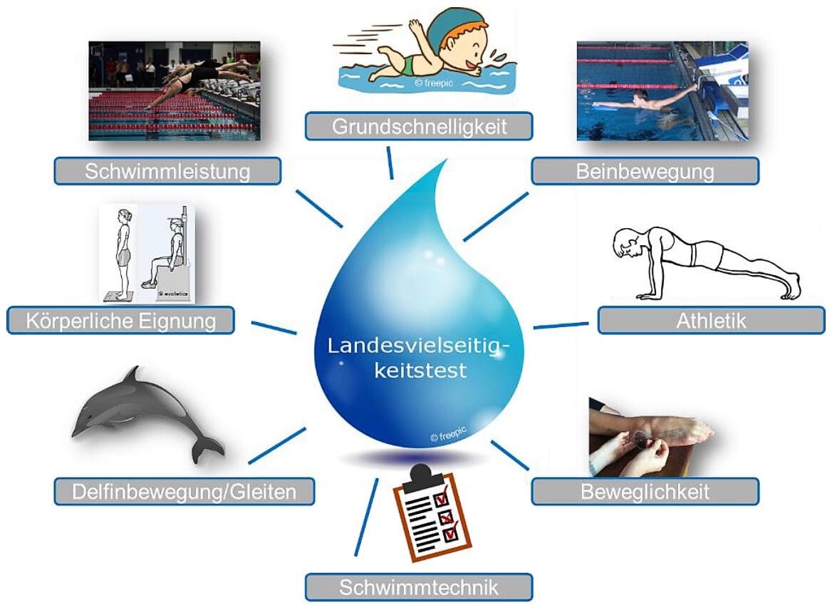 Kann man mit dem Landesvielseitigkeitstest das Talent für Schwimmen erkennen? 1 Schwimmlexikon-D.06 LVTb