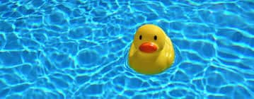 Unsere 16jährige Tochter schleppt zu jedem Wettkampf ihren Teddy mit. Mach sie sich nicht mit dem Teddy zum „Affen“? 1 Schwimmlexikon-D.09 Aberglaube