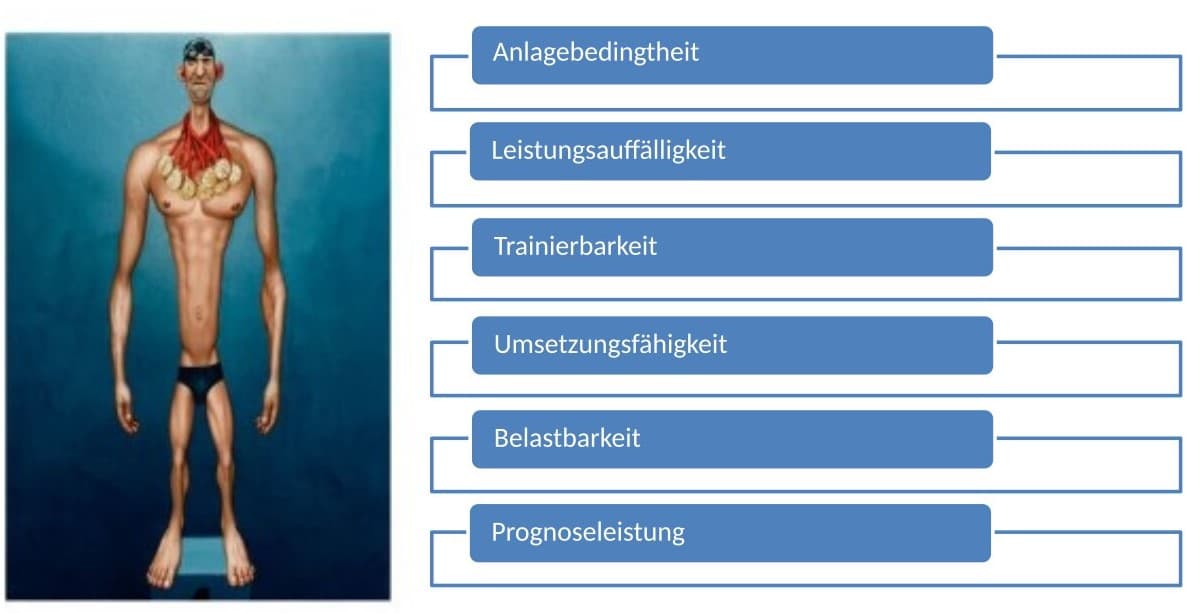 Woran erkenn ich, dass mein Kind Talent hat und kann es fehlendes Talent durch Fleiß ausgleichen? 1 Schwimmlexikon-Eignungsmerkmale 1