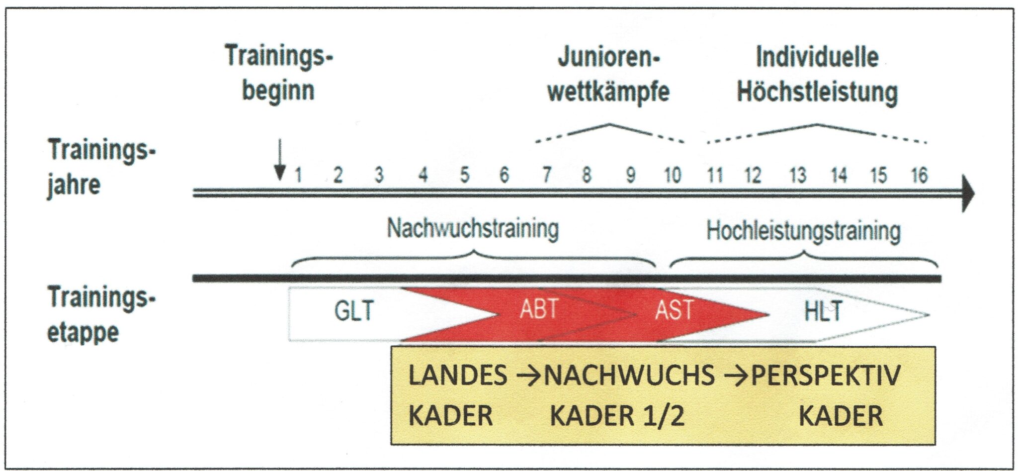 Was ist unter „Kadernormen“ zu verstehen und wie kommen sie zustande? 1 Schwimmlexikon-Kadersruktur DSV scaled