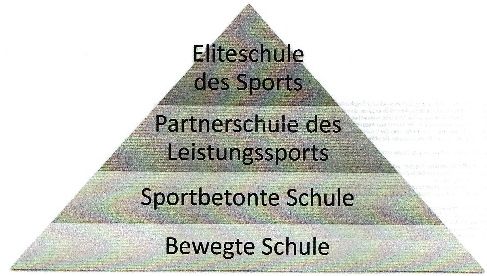 Worin unterscheiden sich die verschiedenen Arten von Sportschulen? 1 Schwimmlexikon-Sportbetonte Schule