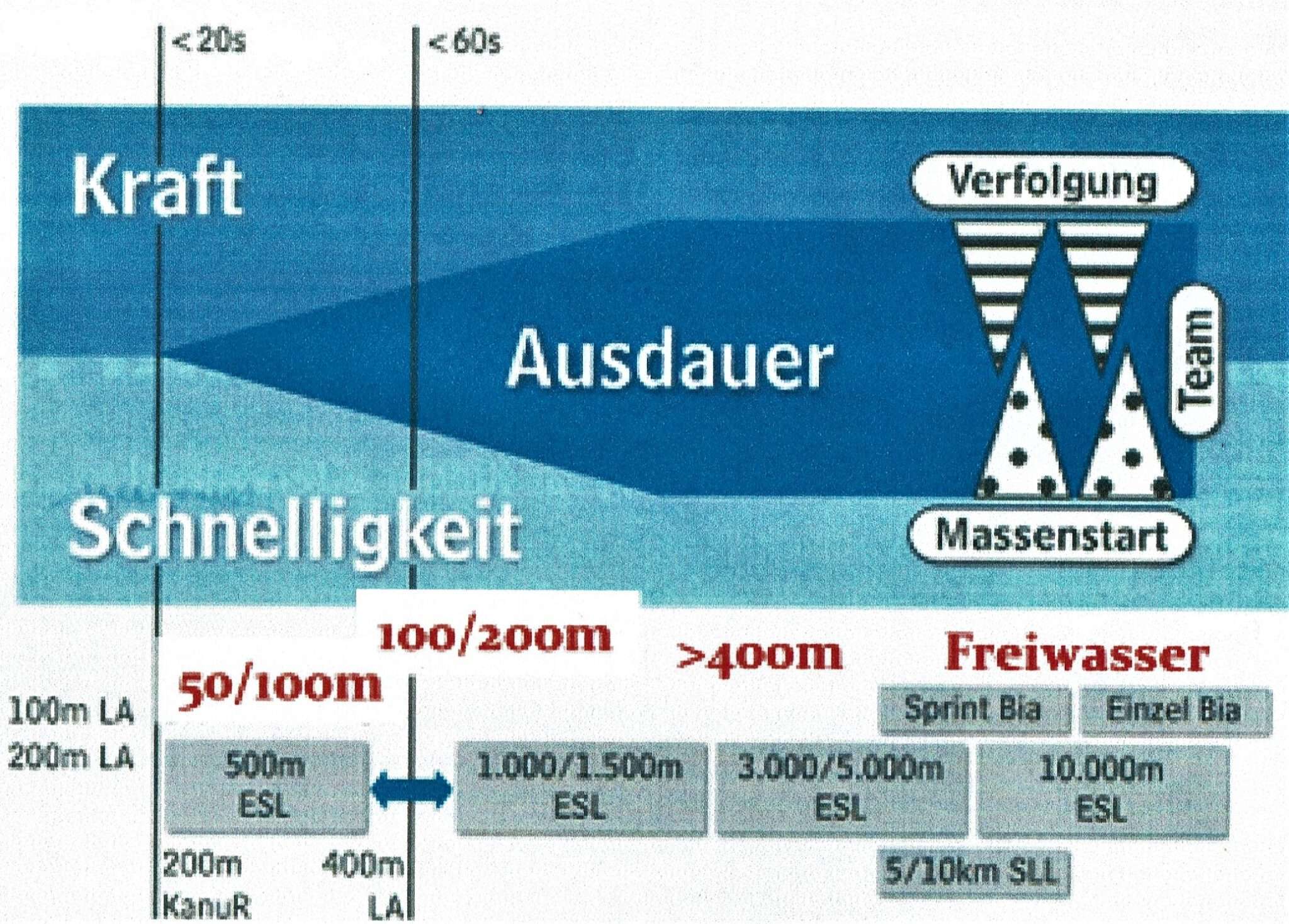 Mittelzeitausdauer | SCHWIMMLEXIKON | Das Lexikon Des Schwimmsports