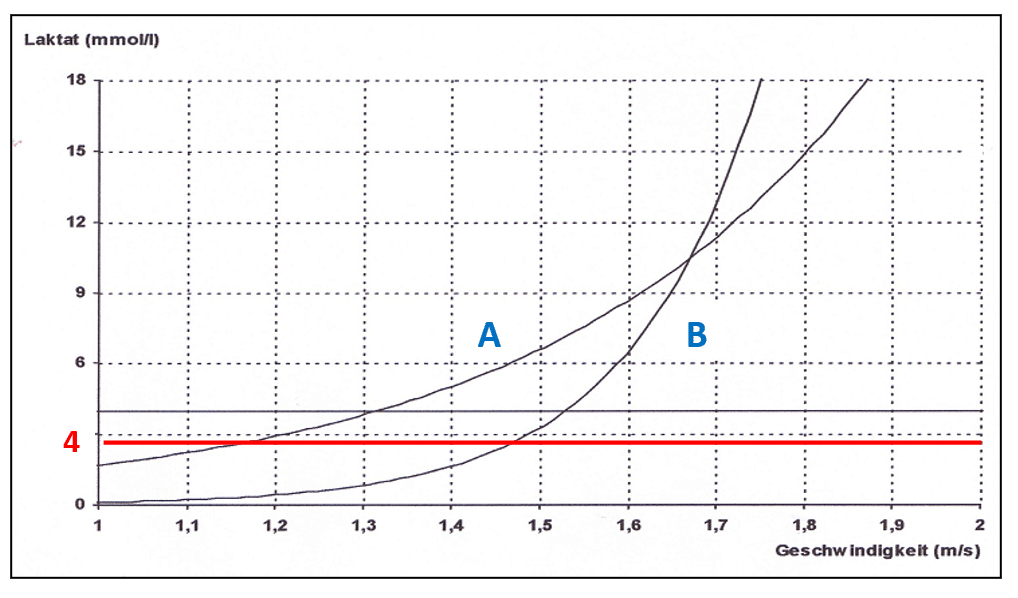 Schwimmlexikon-grafik 4